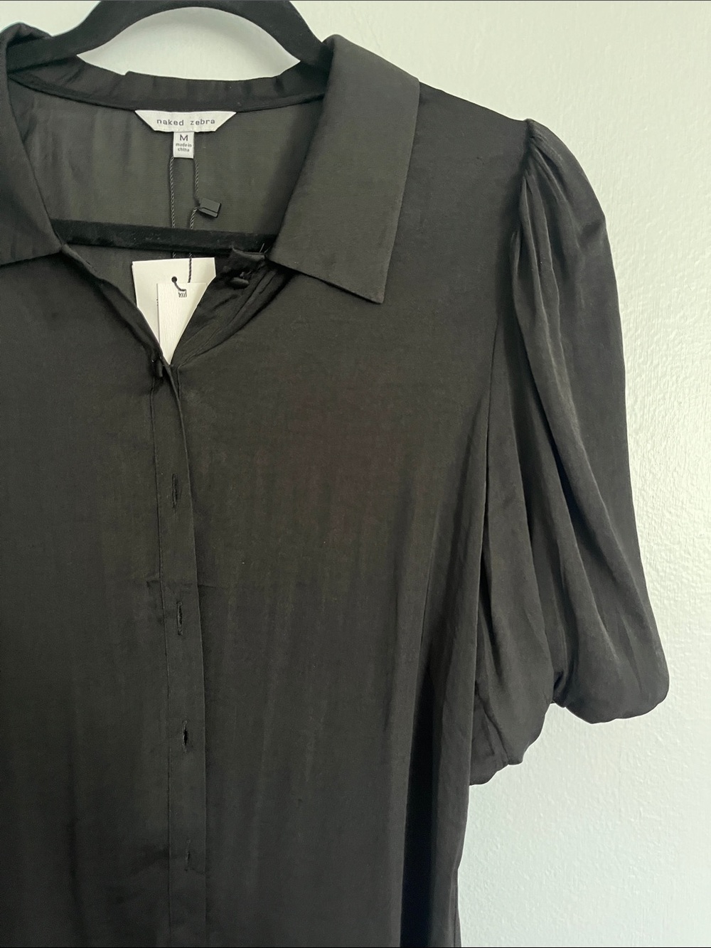 Silky Balloon Sleeve Blouse